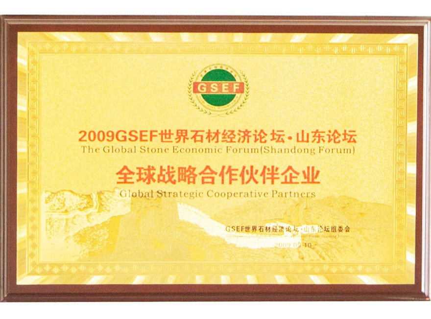 2009GSEF全球战略合作伙伴企业