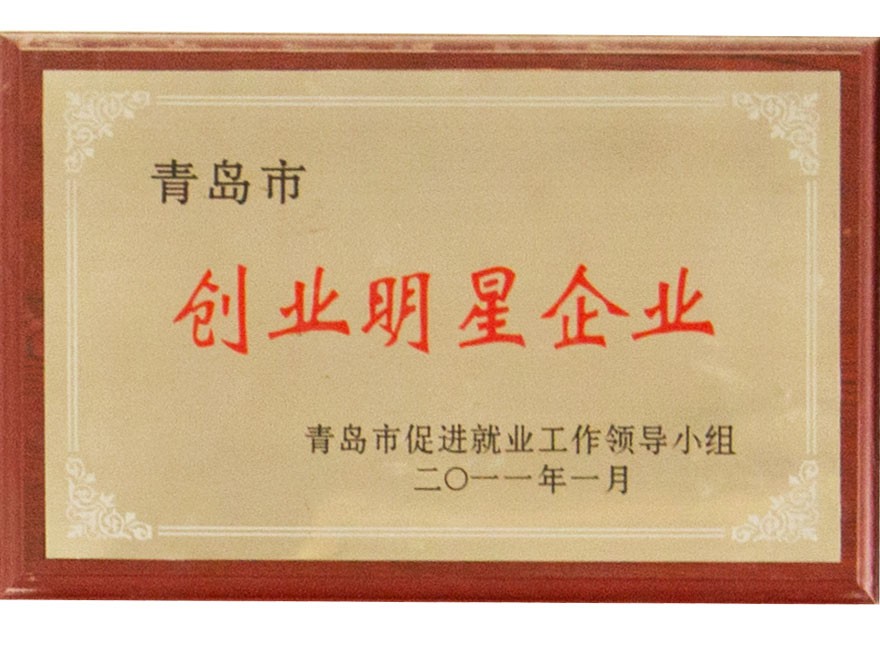 青岛市创业明星企业