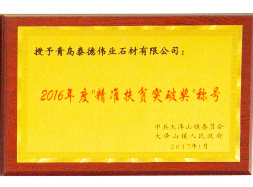 2016年度“精准扶贫突破奖”称呼